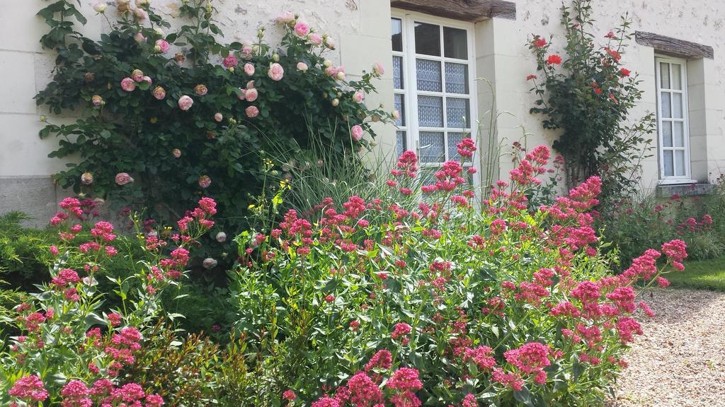 La Berdaquerie Villa Villandry Dış mekan fotoğraf
